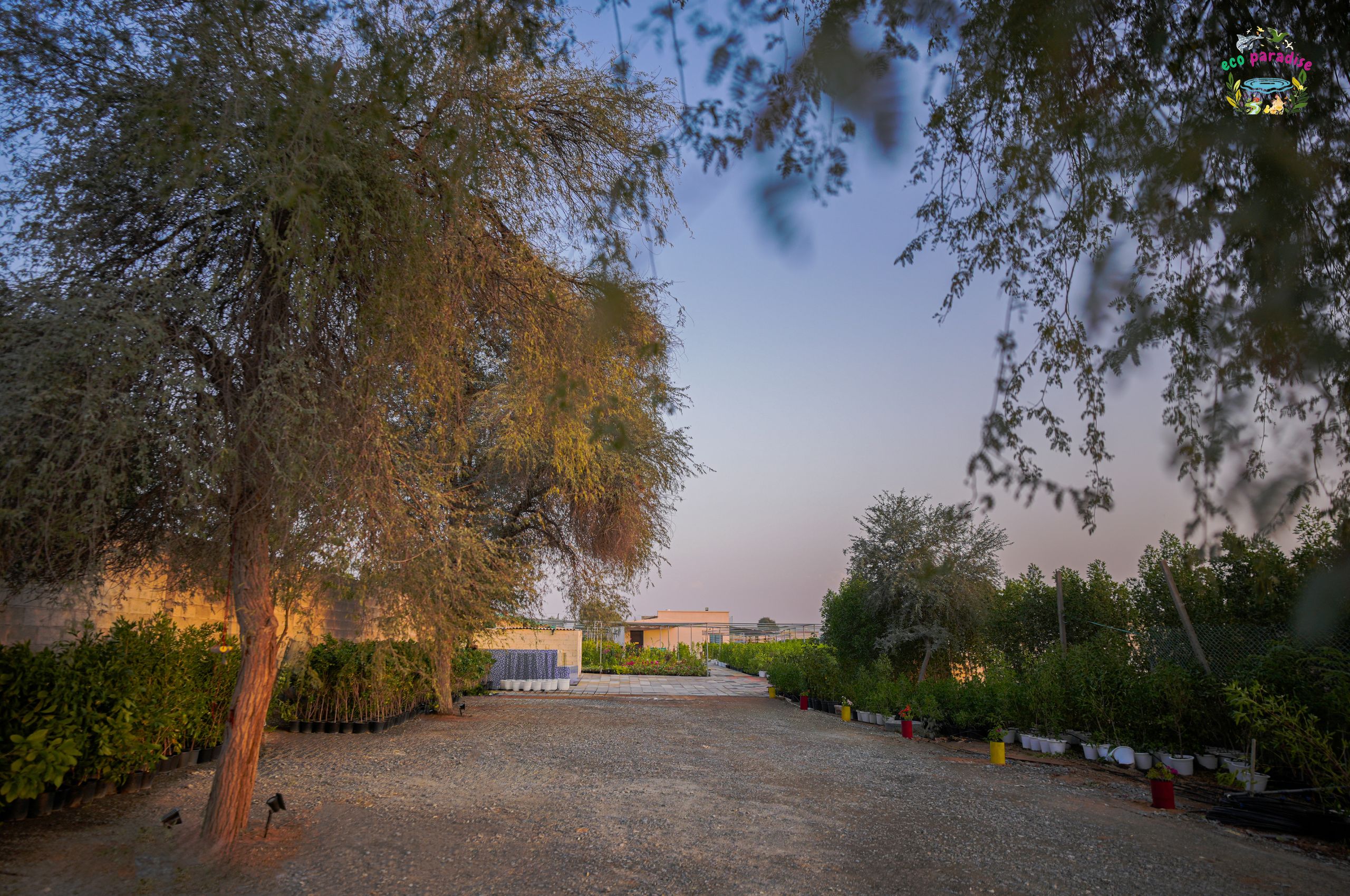 Parking of Eco Paradise
